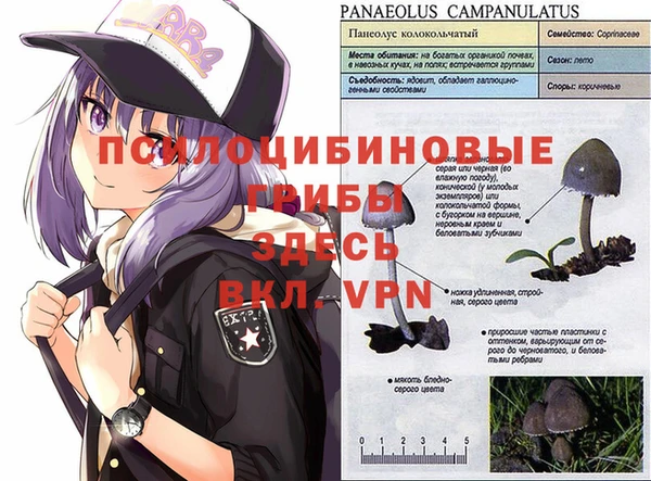 твердый Балахна