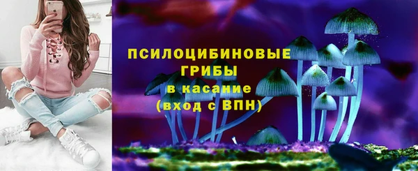 твердый Балахна